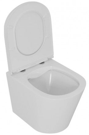 D&amp;K Venice DT1026516 Унитаз подвесной безободковый (торнадо)