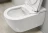 Villeroy &amp; Boch ViClean-I200 V0E200R7 Унитаз-биде подвесной