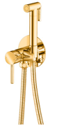 Grocenberg Mini GB 001 GOLD гигиенический душ комплект