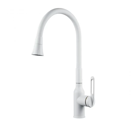 Raffine F303C-1 Смеситель для кухни с гибким изливом