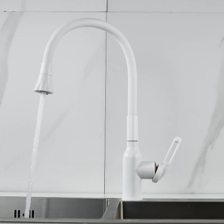 Raffine F303C-1 Смеситель для кухни с гибким изливом