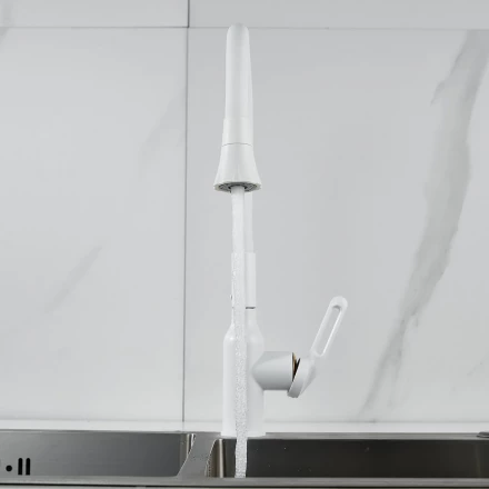 Raffine F303C-1 Смеситель для кухни с гибким изливом