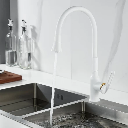 Raffine F303C-1 Смеситель для кухни с гибким изливом