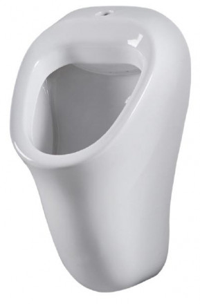 Am.Pm Sense C757006WH Писсуар подвесной без крышки