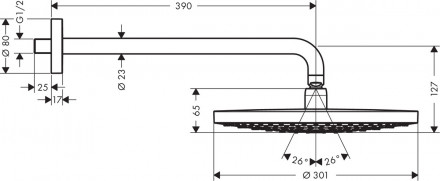 Hansgrohe Raindance Select S 300 2jet 27378000 верхний душ