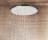 Grohe Rainshower 27477000 Верхний душ