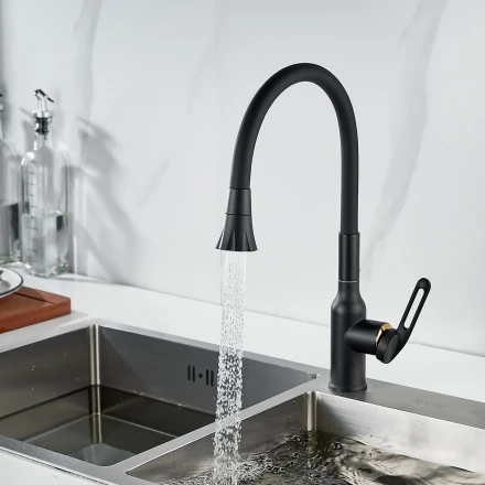 Raffine F303H-3 Смеситель для кухни с гибким изливом