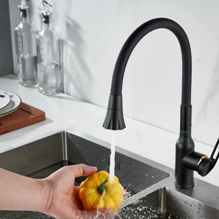 Raffine F303H-3 Смеситель для кухни с гибким изливом