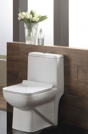 Azario Zeno AZ-1169 Унитаз-моноблок с бачком и сиденьем микролифт