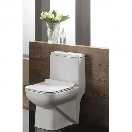 Azario Zeno AZ-1169 Унитаз-моноблок с бачком и сиденьем микролифт