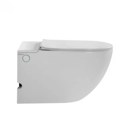 ABBER Bequem AC1105P унитаз