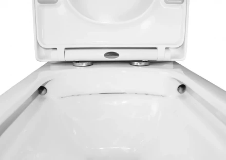 Azario Alba AZ00059264 Унитаз напольный с бачком и сиденьем микролифт