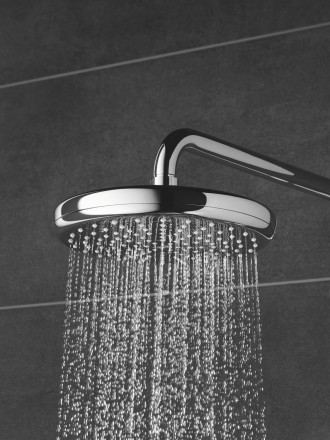 Grohe Tempesta 210 26411000 Верхний душ