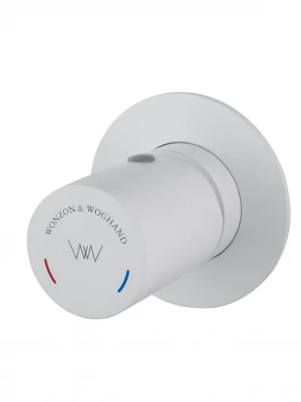 Wonzon &amp; Woghand WW-105-MW Смеситель для раковины встраиваемый брашированное золото