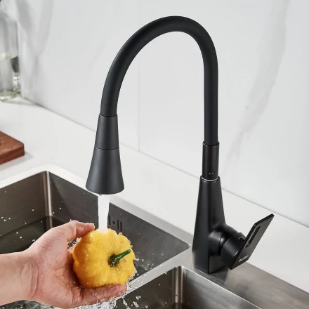 Raffine F313H-3 Смеситель для кухни с гибким изливом