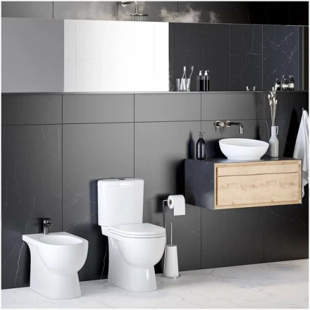 Унитаз-компакт Sanita luxe Art WC.CC/Art/2-DM/WHT.G/S1 с сиденьем soft close