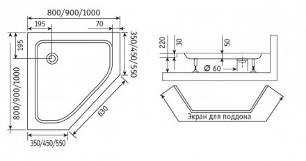 RGW VI-81 02048100-18 Душевой угол 100x100