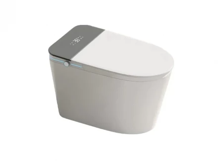 Ceruttispa ESTER Smart CT10617 Унитаз-биде электронный