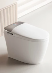 Ceruttispa ERSILIA Smart CT10616 Унитаз-биде электронный