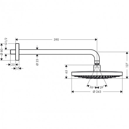 Hansgrohe Raindance Select 2jet 26466000 Верхний душ 240 мм