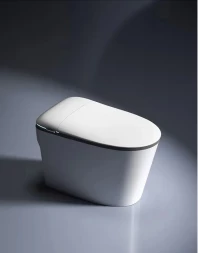 Santiline SL-5036 Умный электронный унитаз с функцией биде