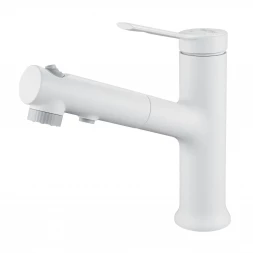 Raffine F281C Смеситель для раковины многофункциональный