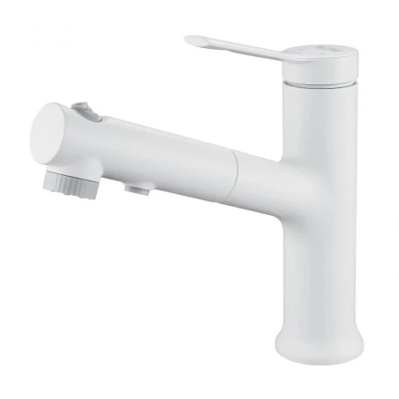 Raffine F281C Смеситель для раковины многофункциональный