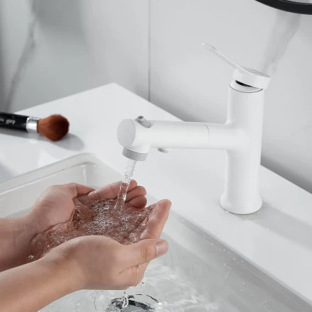 Raffine F281C Смеситель для раковины многофункциональный