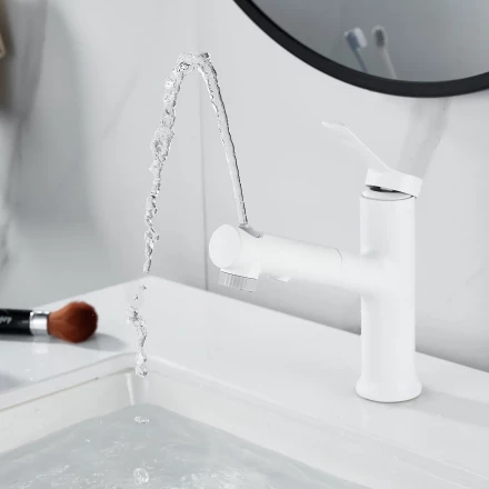 Raffine F281C Смеситель для раковины многофункциональный
