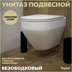 Teymi T40208 Унитаз подвесной