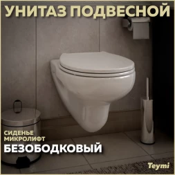 Teymi T40901 Унитаз подвесной