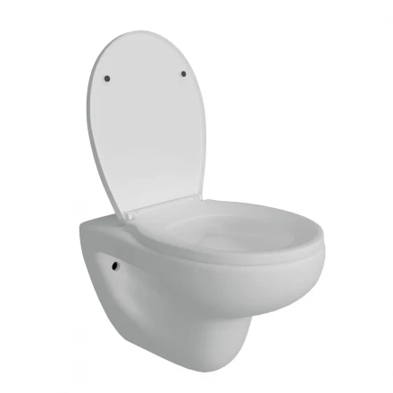 Teymi T40901 Унитаз подвесной