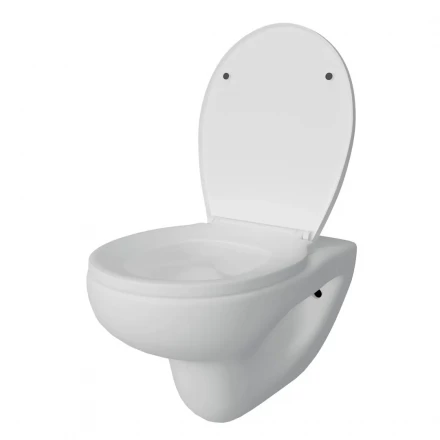 Teymi T40901 Унитаз подвесной