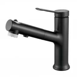 Raffine F281H Смеситель для раковины многофункциональный