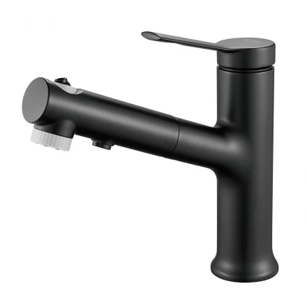 Raffine F281H Смеситель для раковины многофункциональный