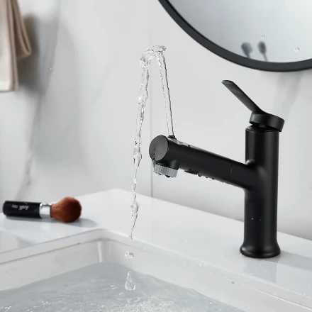 Raffine F281H Смеситель для раковины многофункциональный