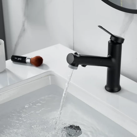 Raffine F281H Смеситель для раковины многофункциональный