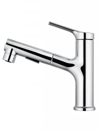Wonzon &amp; Woghand WW-A40862-CR Смеситель для раковины с выдвижным изливом хром