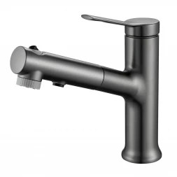 Raffine F281T Смеситель для раковины многофункциональный