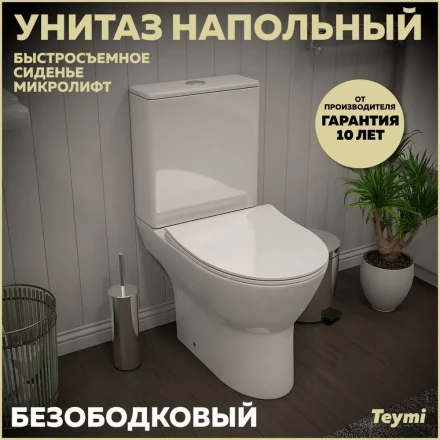 Teymi T40803 Унитаз напольный с бачком
