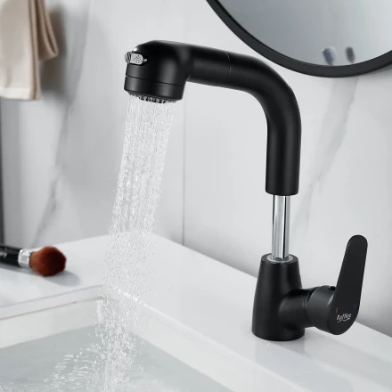 Raffine F291H Смеситель для раковины многофункциональный