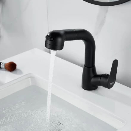 Raffine F291H Смеситель для раковины многофункциональный