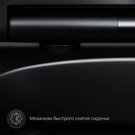 Am.pm Spirit V2.0 C701700MBSC Унитаз подвесной FlashClean с сиденьем микролифт