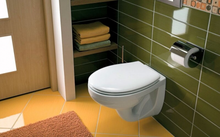 GEBERIT Idol 458.122.2U.1 Инсталляция с унитазом