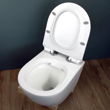 Teymi T40106 Унитаз подвесной