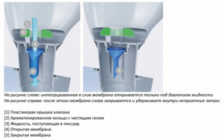 Duravit DuraStyle 280830 Писсуар безводный