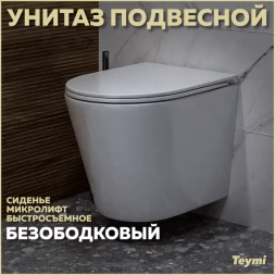 Teymi T40201 Унитаз подвесной