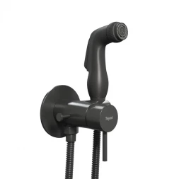 Teymi T10005 смеситель с лейкой 225x215x70