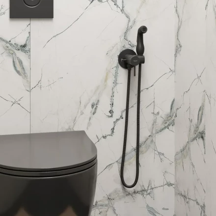 Teymi T10005 смеситель с лейкой 225x215x70