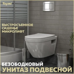 Teymi T40804 Унитаз подвесной